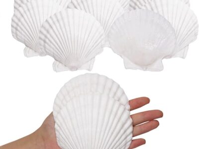 10PCS Sea Shells White Scallop Shells for Crafts Baking Cooking Serving Food