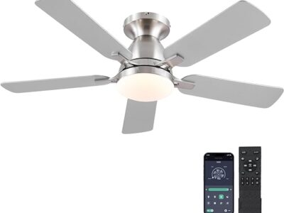 Ceiling Fans with Lights and Remote/APP Control,46