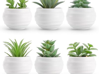 Set of 6 Succulents Plants Artificial in Pots
