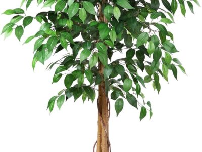 5ft Ficus Artificial Trees with Realistic Leaves and Trunk