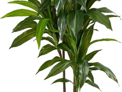 Real Touch Leaves Artificial Dracaena Plant, 4ft, Green