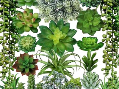 19 Pcs Assorted Artificial Succulents Plants