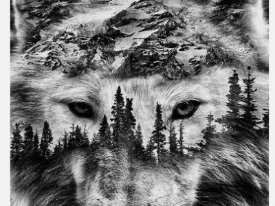 Wolf 5D DIY Diamond Art Kits
