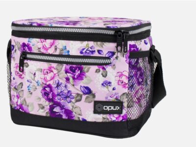 Insulated Lunch Bag Leakproof Thermal Bento Cooler Tote for Women and Men Kids