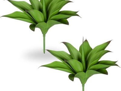 Agave Plants