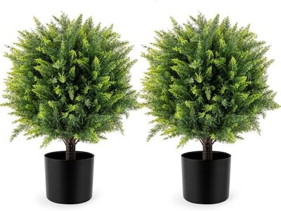 Cedar Ball Trees