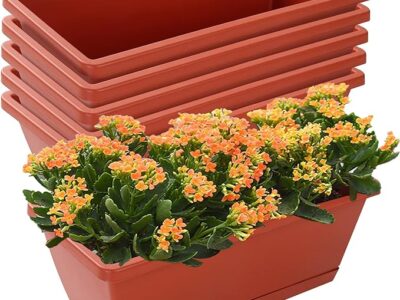 Box Planter