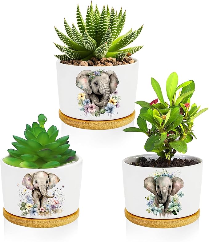 Elephant Planter