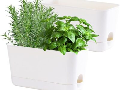 Window Pot