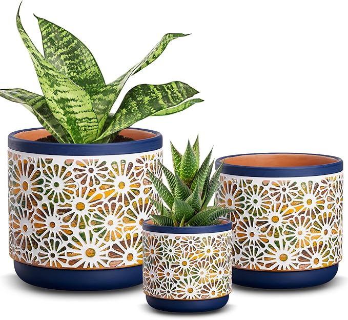 Flower Pots