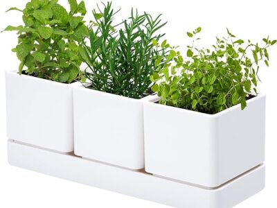Vegetable Pot