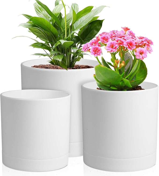 Plant Pots