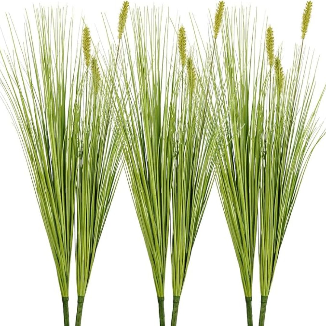 Tall Onion Grass