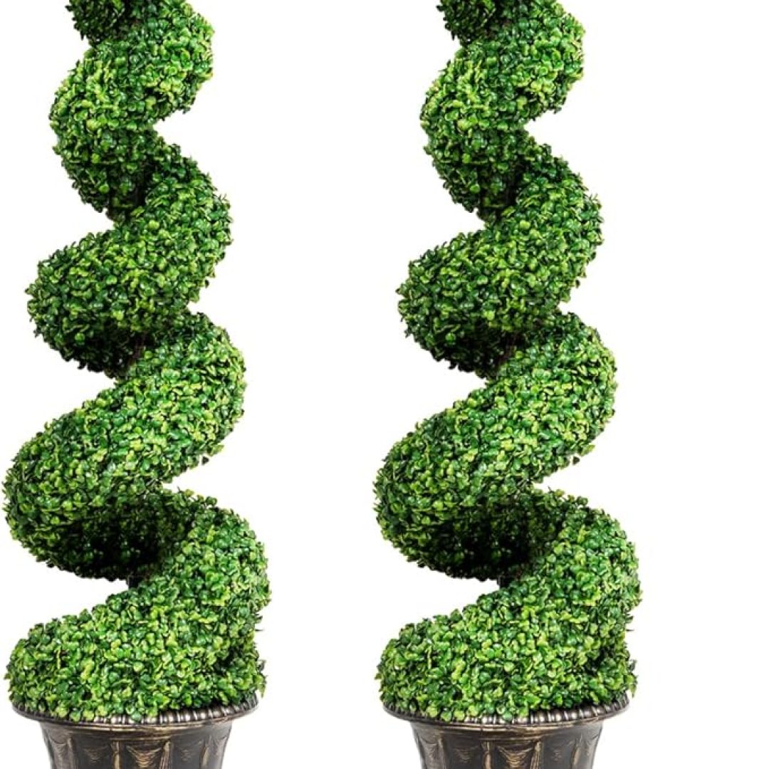 Spiral Topiary Tree