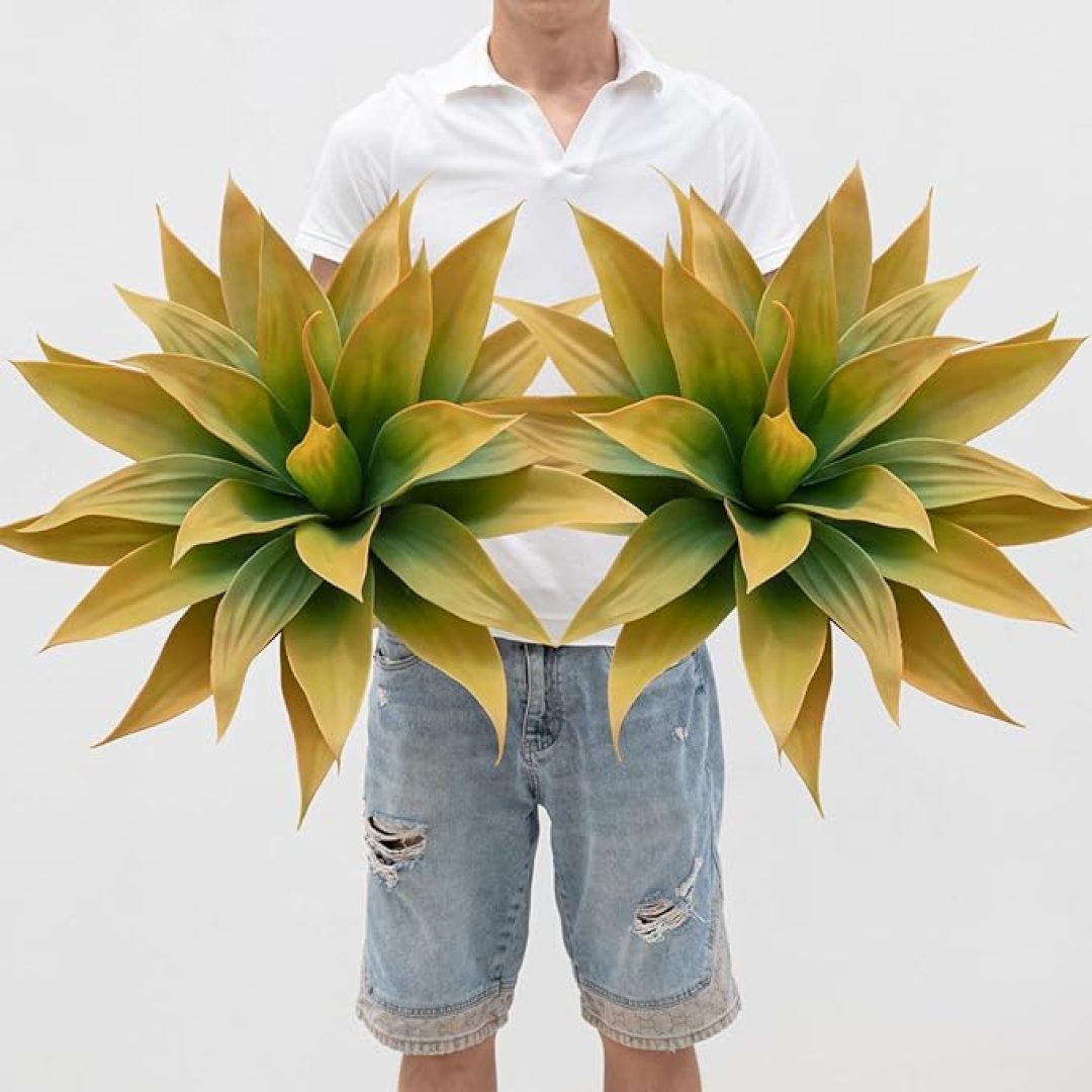 Agave Planters