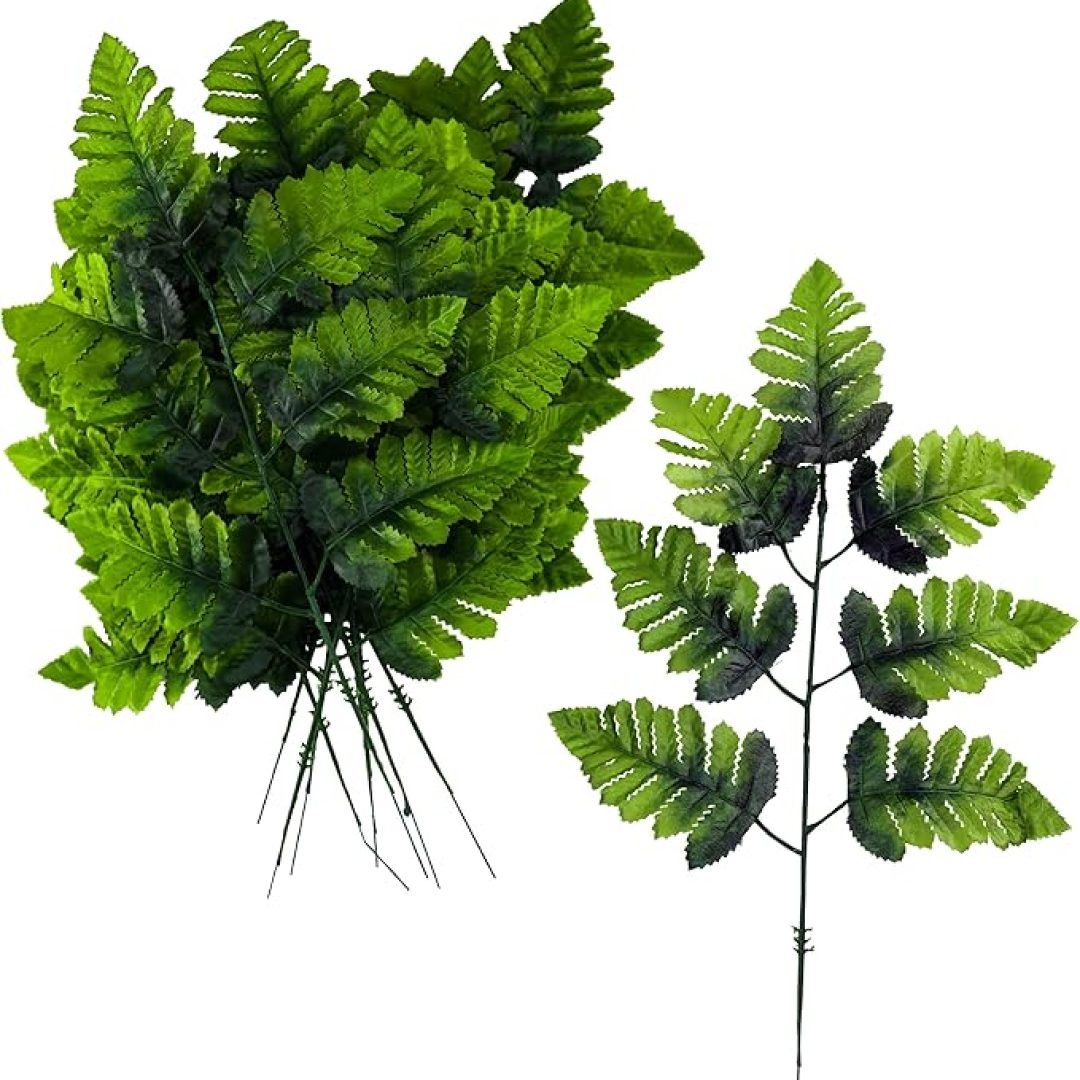 Leather Leaf Fern