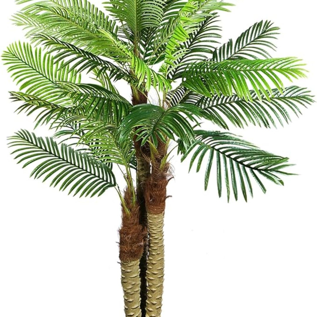 Fake Palm Plants