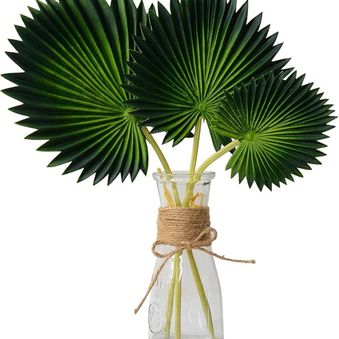 Palm Leaves