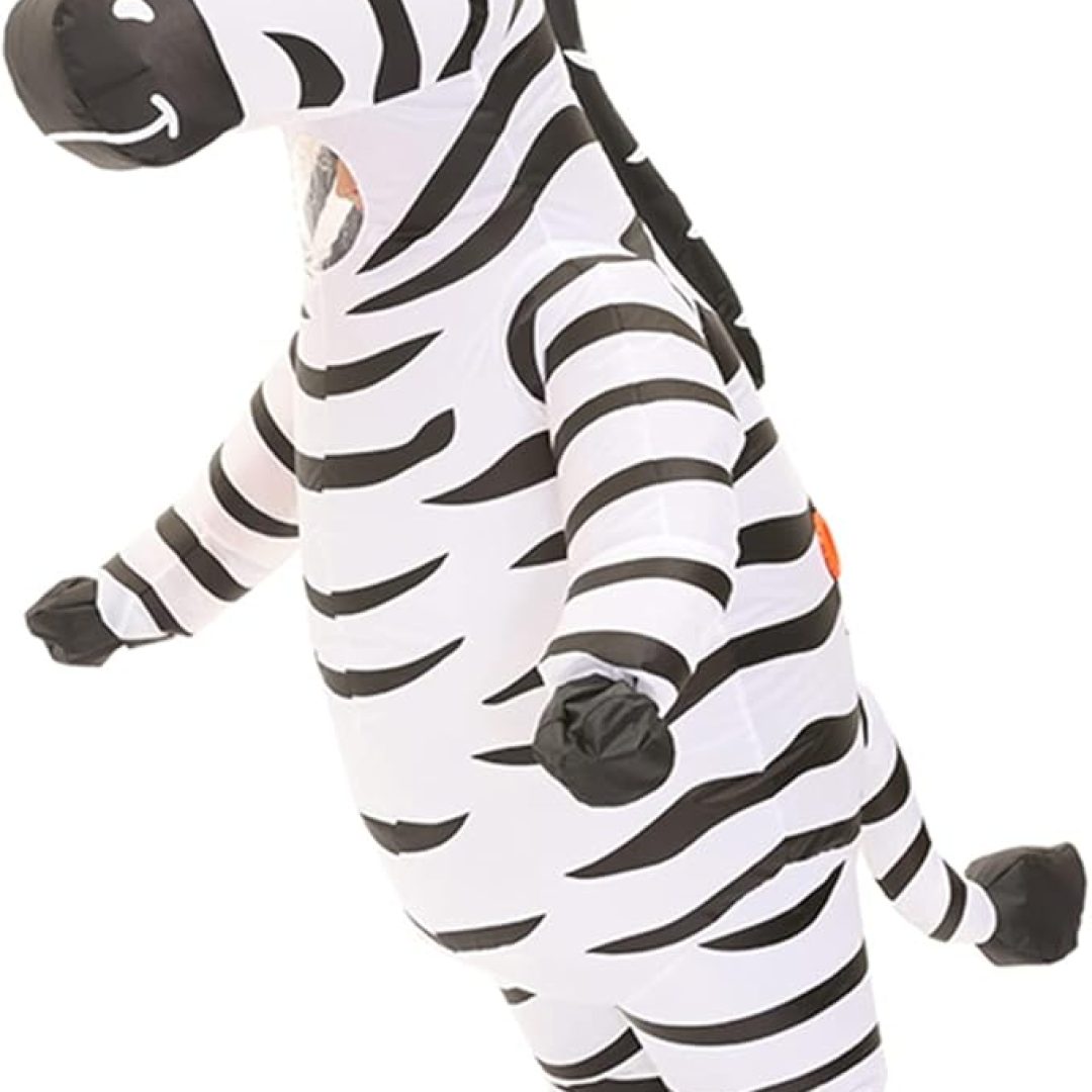 Zebra Costume