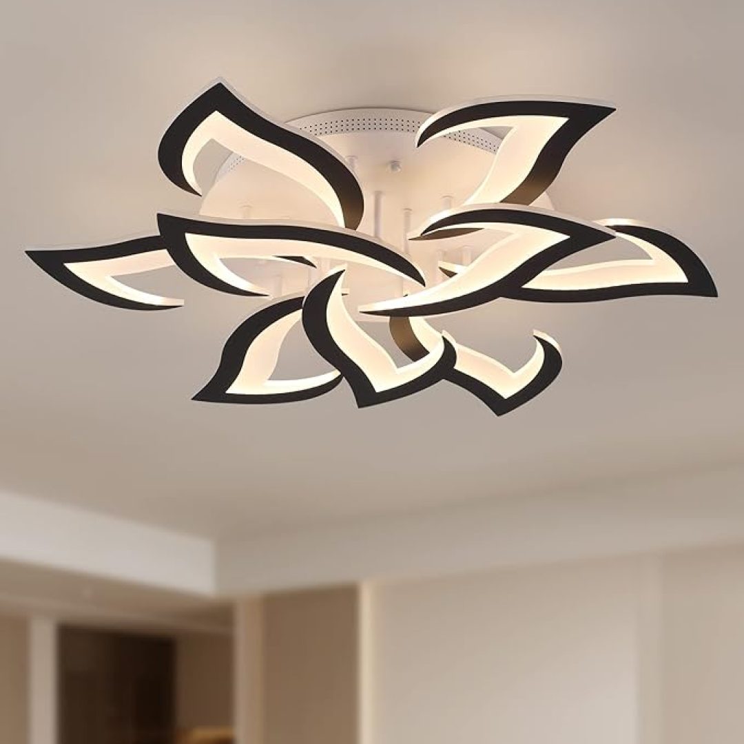 Ceiling Light