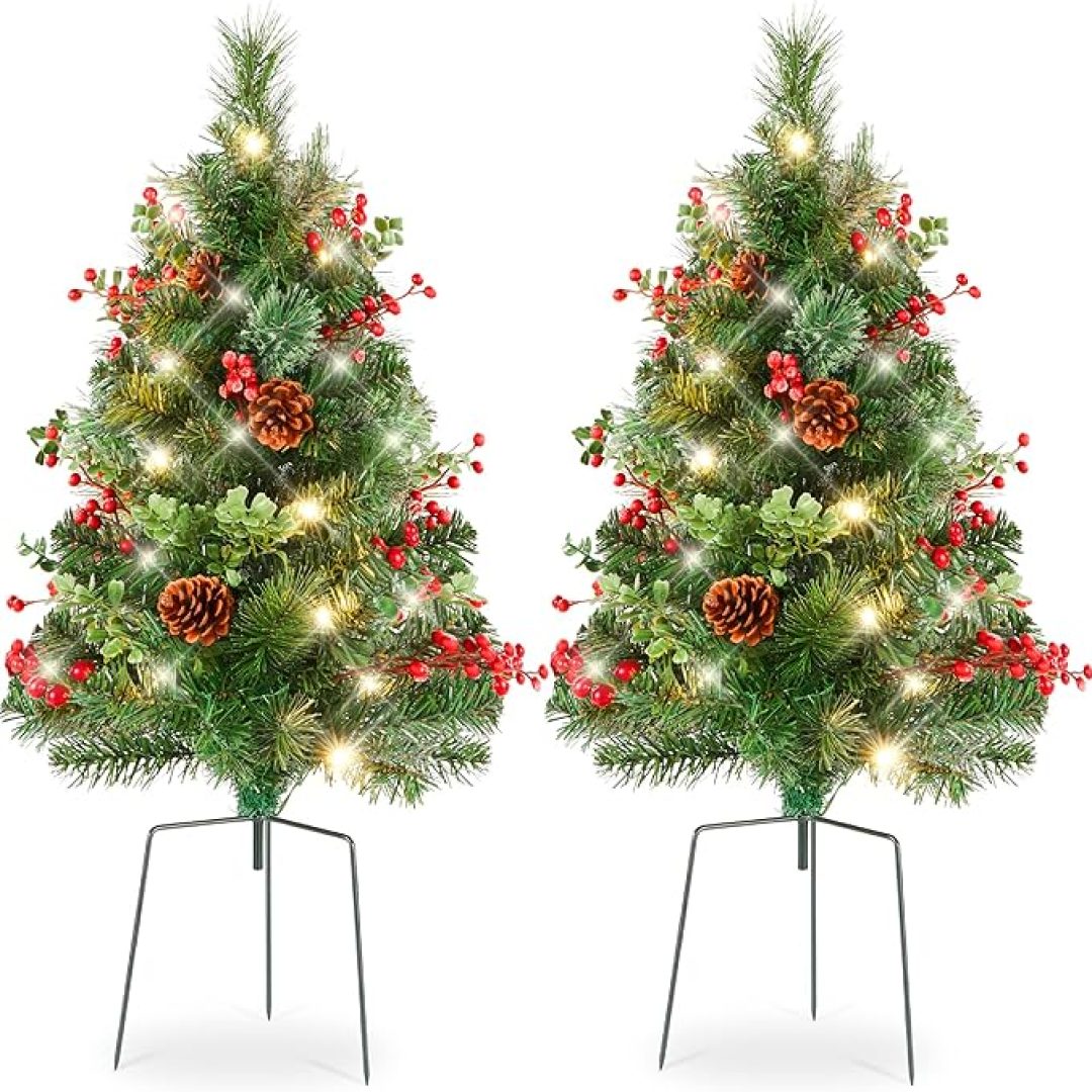 Outdoor Pathway Christmas Trees