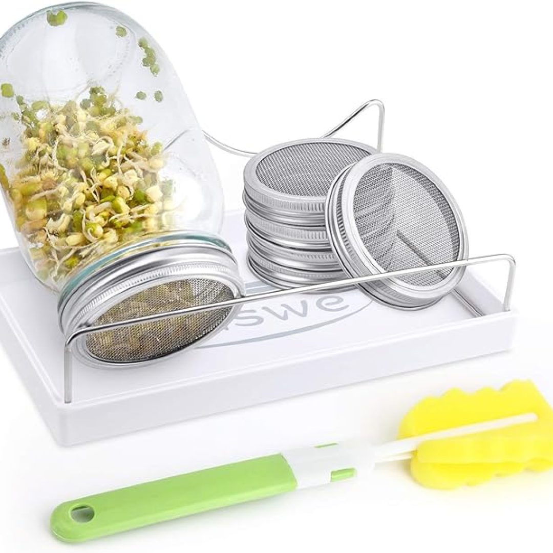 Haswe Seed Sprouting Jar Kit (JARS NOT INCLUDED)- 4 Stainless Steel Screen Sprout Lids，1 Melamine Tray, Stand and Canning Brush for Wide Mouth Mason Jar | Growing Broccoli, Alfalfa, Mung Bean