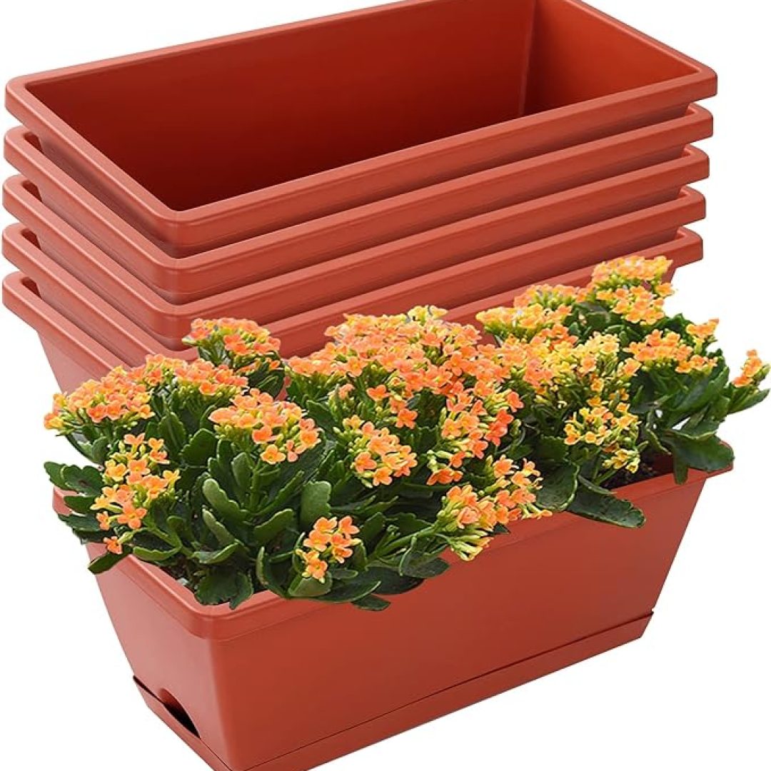Box Planter