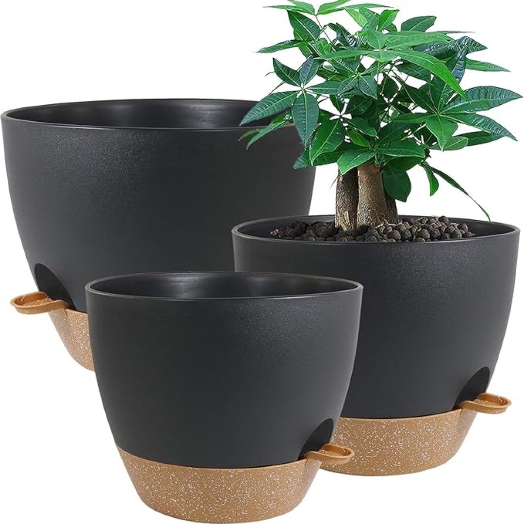 Plastic Planters