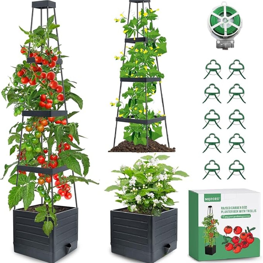Tomato Planter