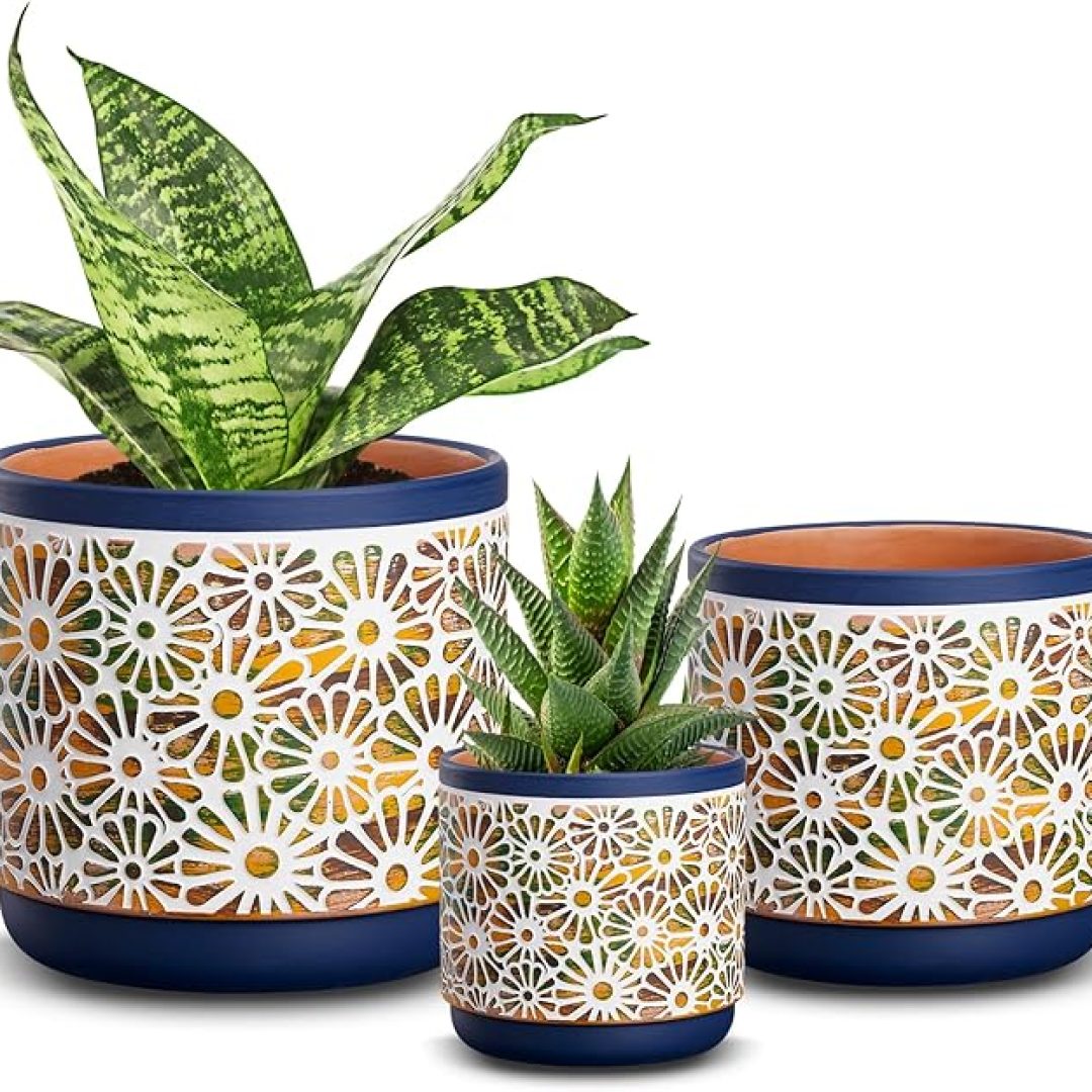 Flower Pots