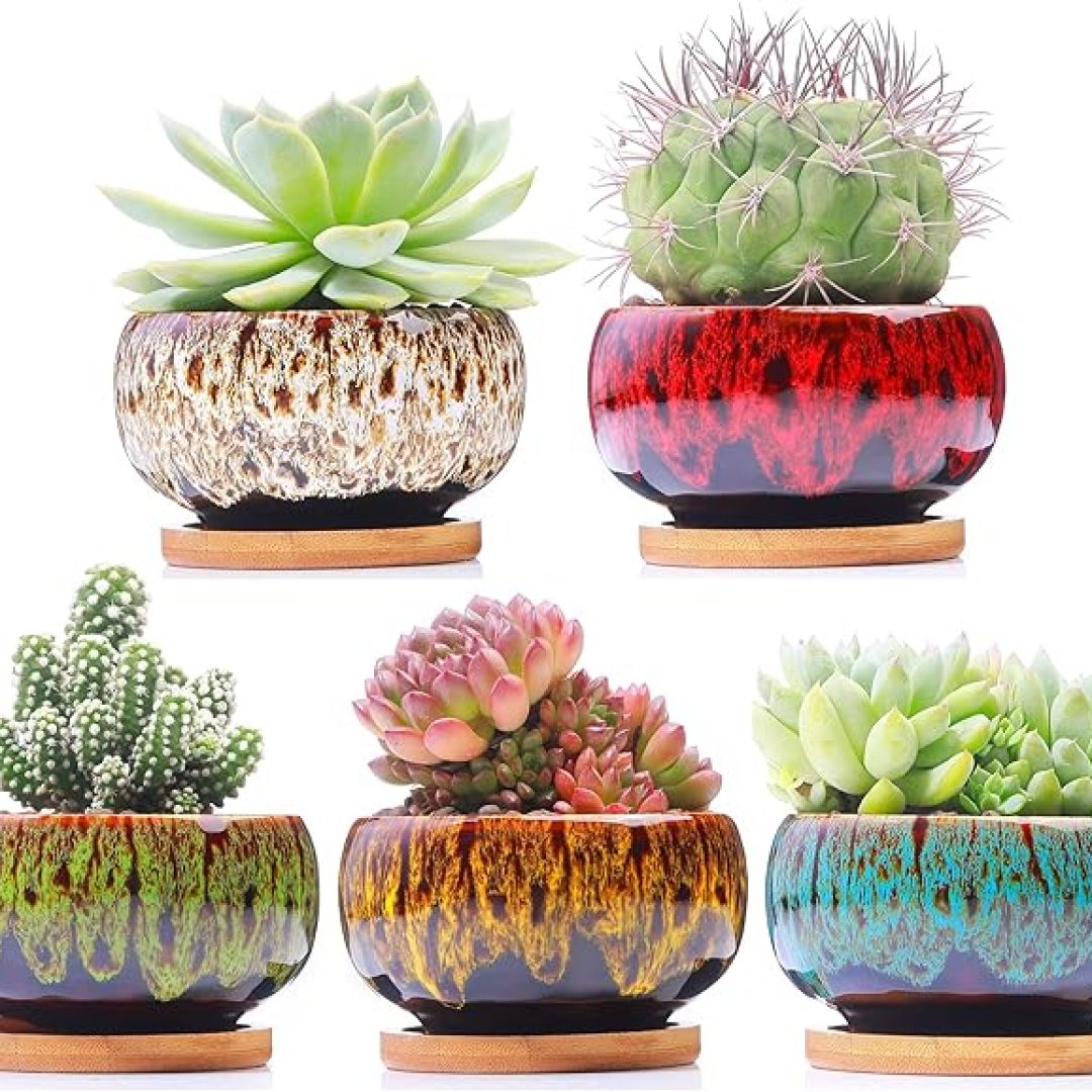 Garden Pots