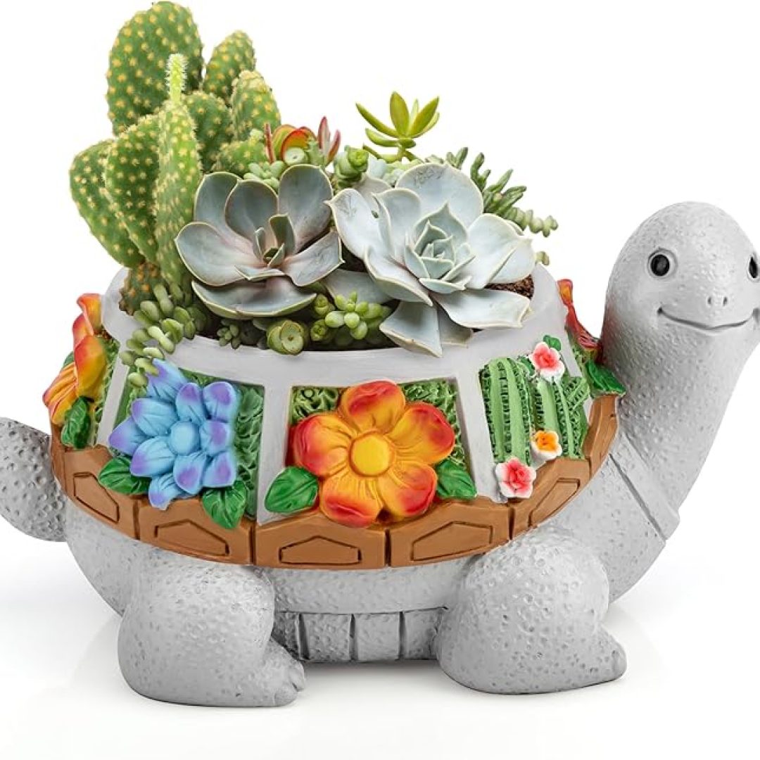 Turtle Planter