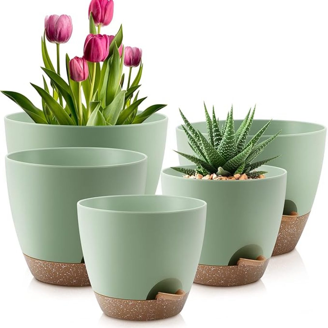 Plastic Planters