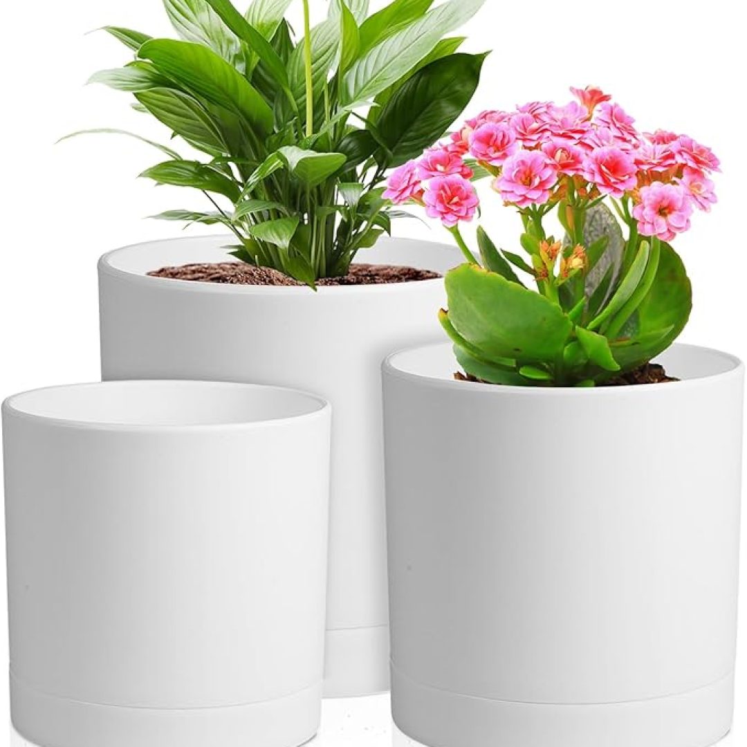 Plant Pots