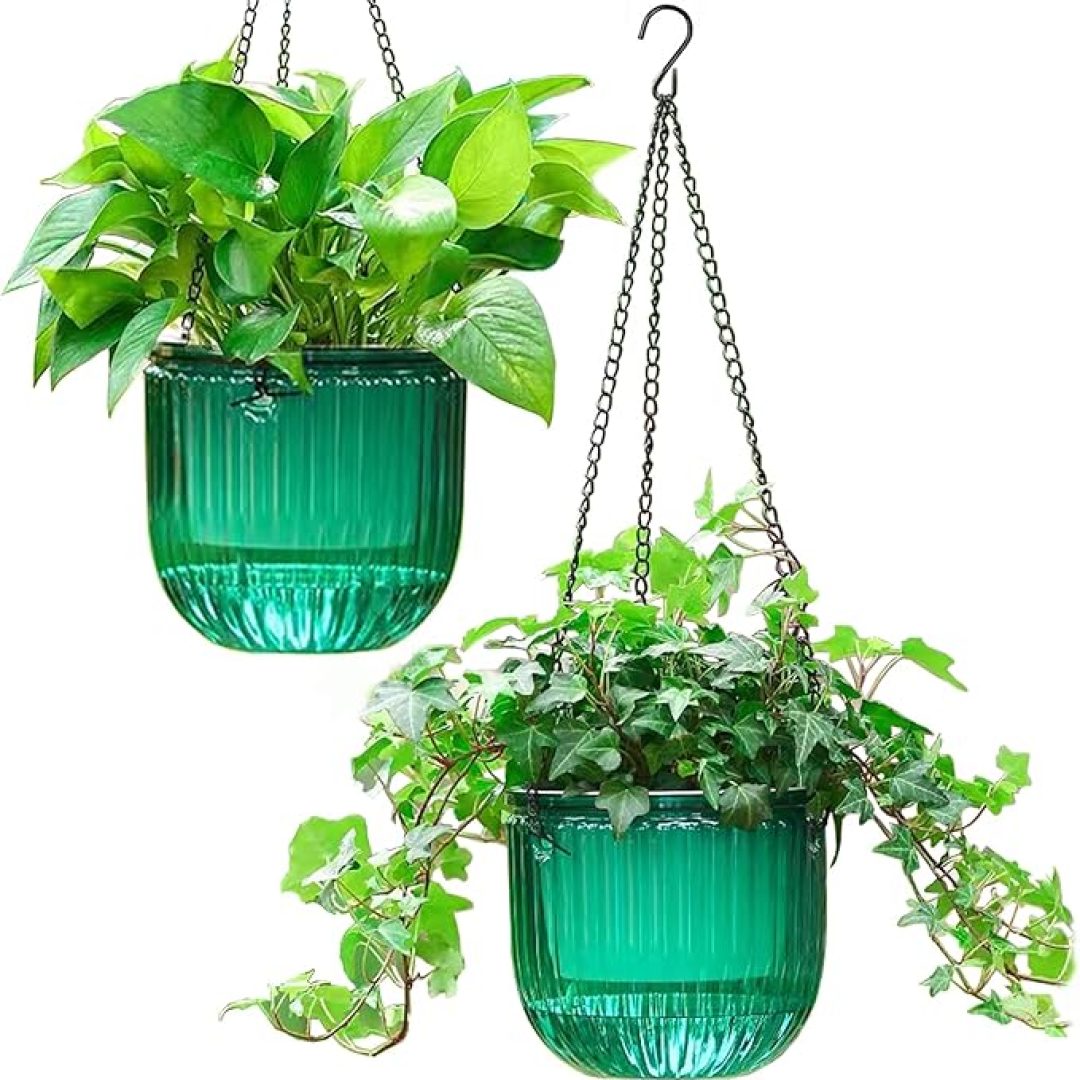 Hanging Planters