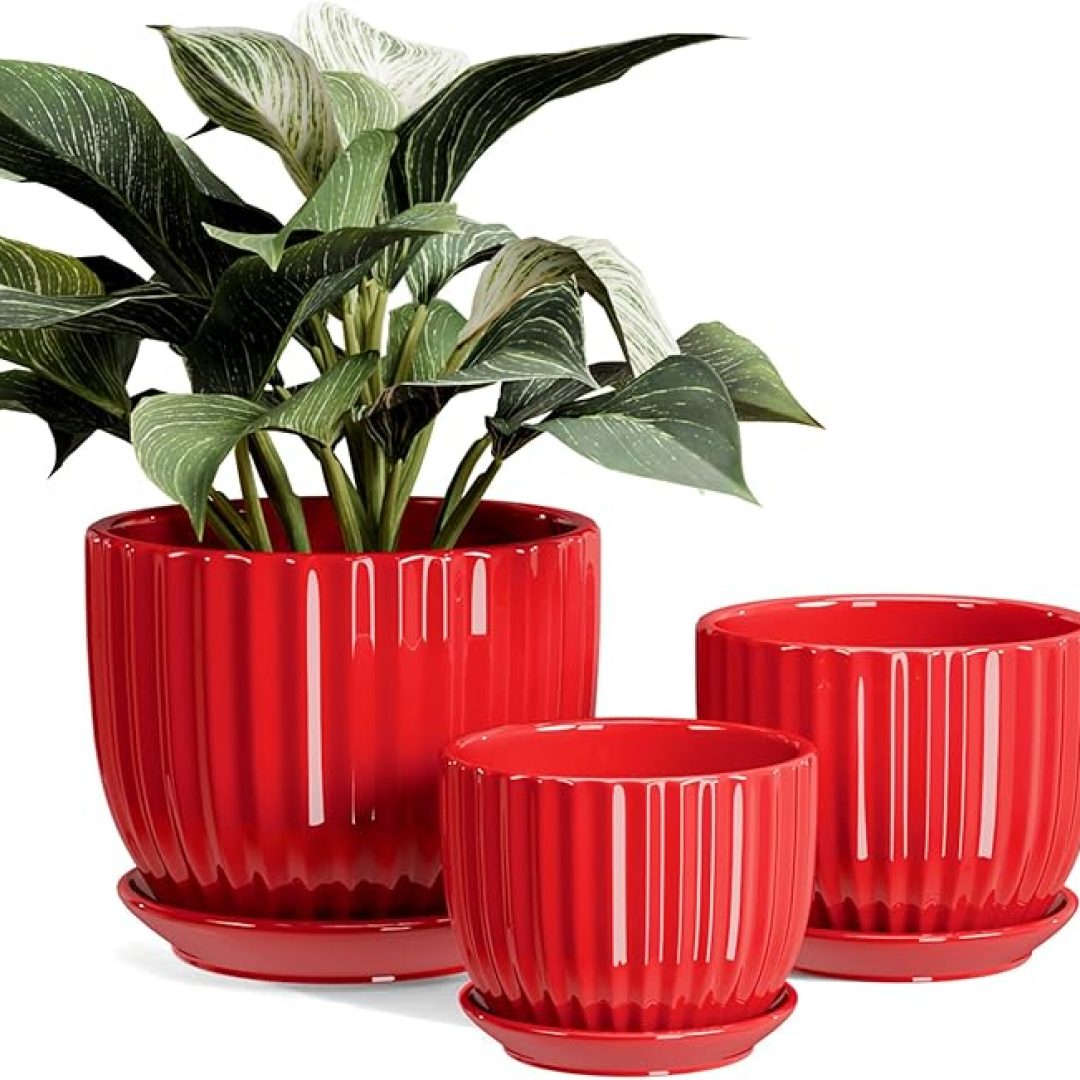Red Planters