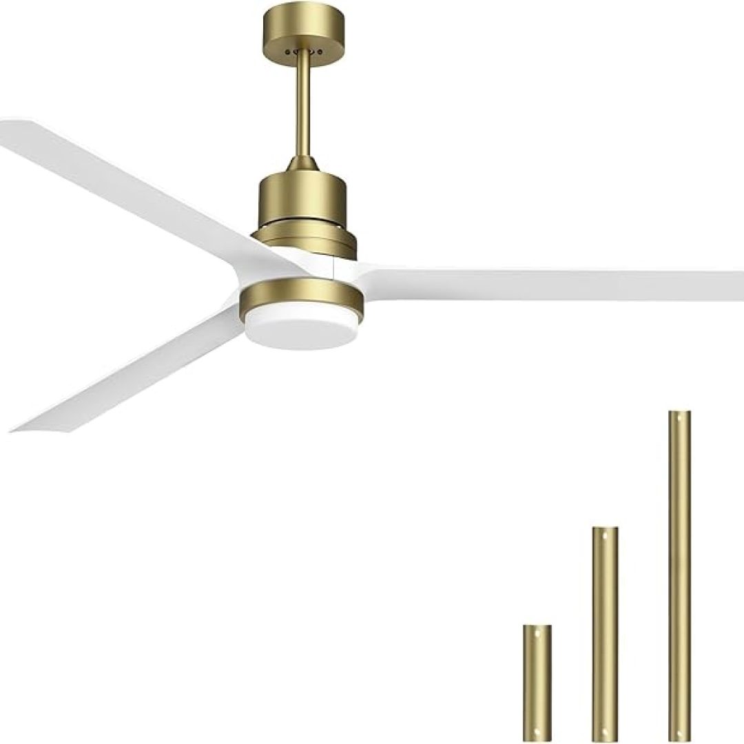 Ceiling Fans with Lights and Remote, 60 Inch