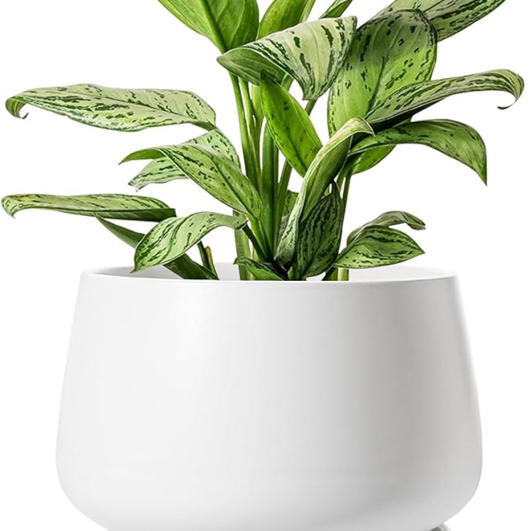 12 Inch Pots for Plants, Indoor Plant Pots with Drainage Holes and Saucers