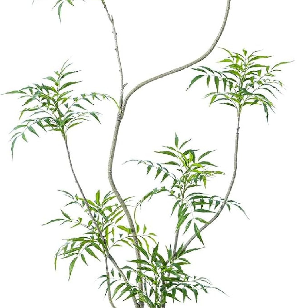 5.3ft Tall Fake Plants Artificial Mahonia fortunei Plants