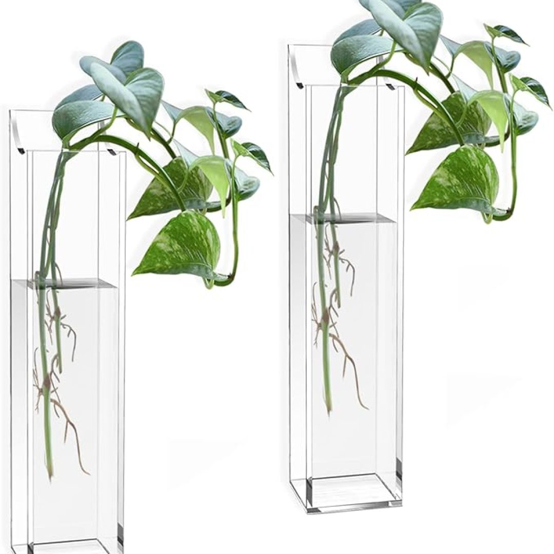 Acrylic Wall Planters, Clear Pocket Vases for Dried Flowers and Hydroponics