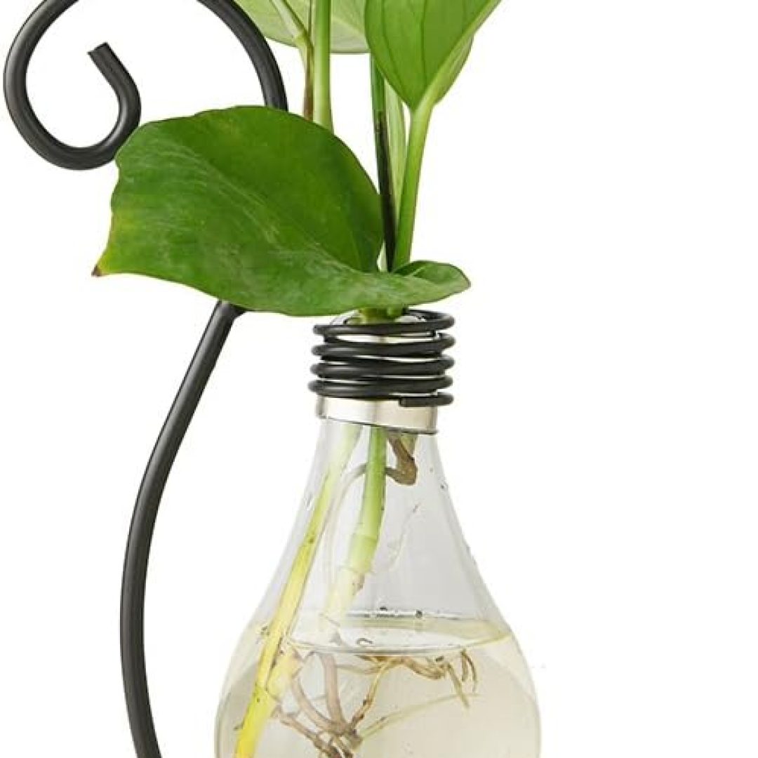 Desktop Glass Planter Hydroponics Vase