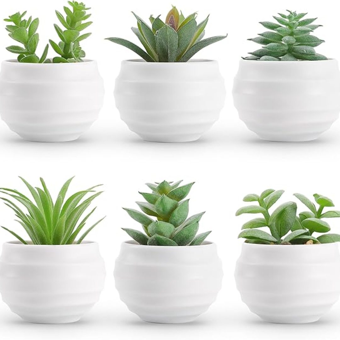 Set of 6 Succulents Plants Artificial in Pots