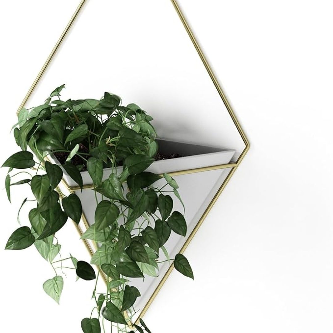 Trigg Hanging Planter Vase Wall Decor, Pot and Container