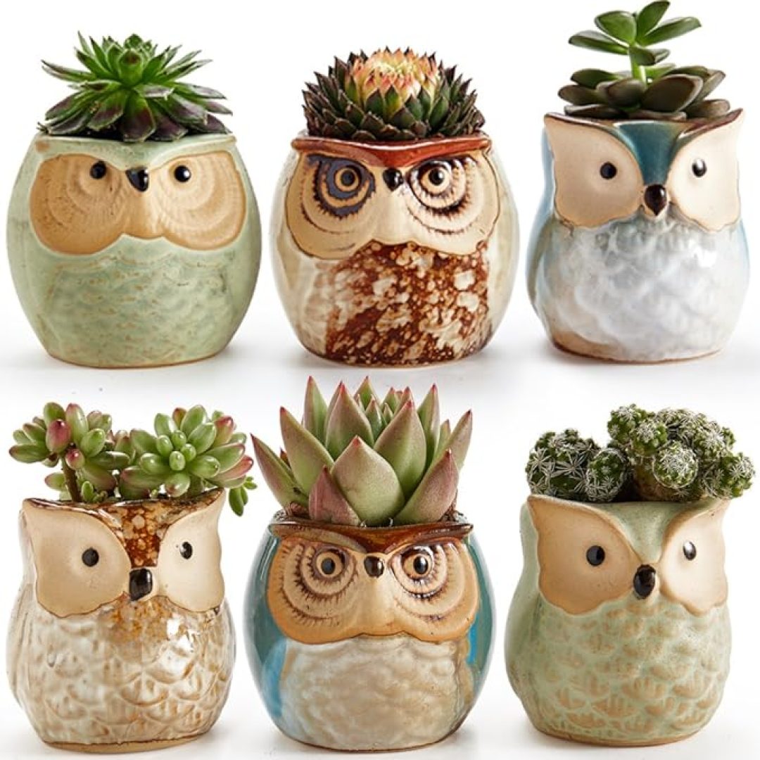 Owl Pot Ceramic Flowing Glaze Base Serial Set