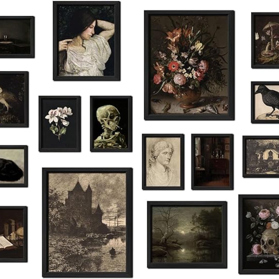 16 PCS Dark Academia Room Decor