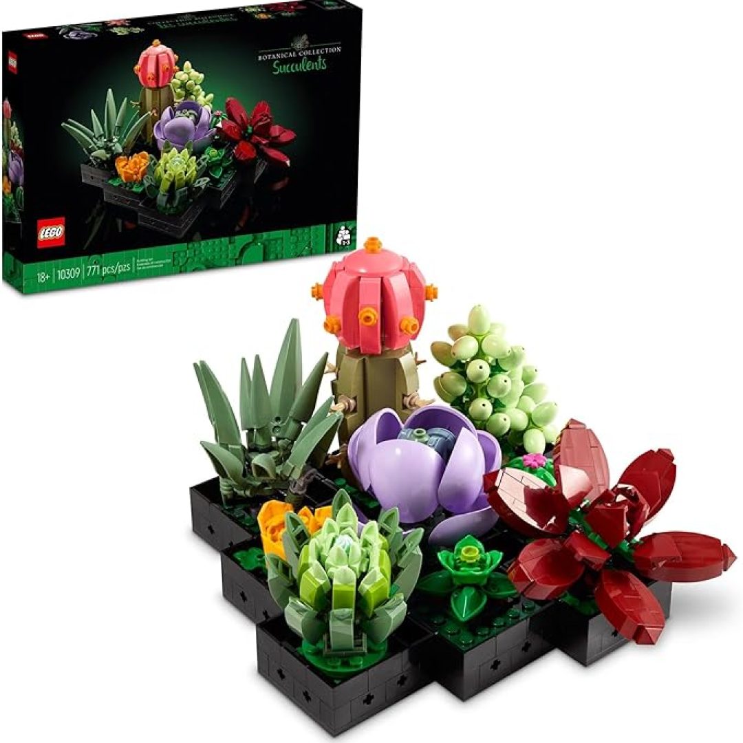 Icons Succulents Artificial Plant Set for Adults