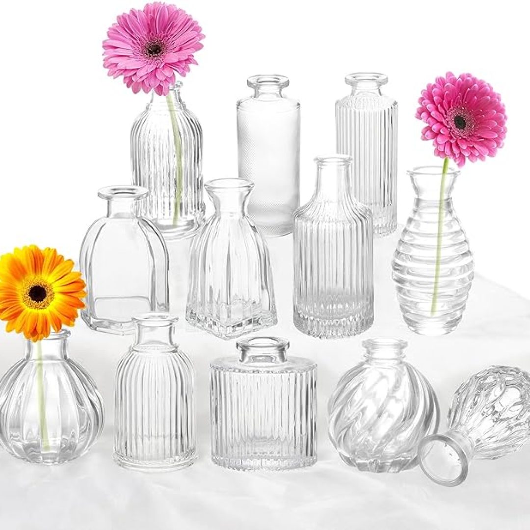 Glass Vase for Decor Centerpieces, Small Vases for Flowers