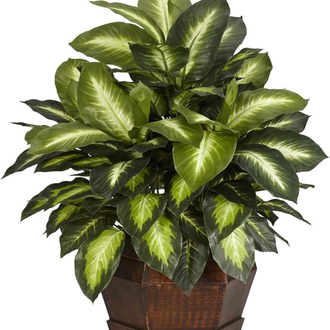 24in. Golden Dieffenbachia Silk Plant