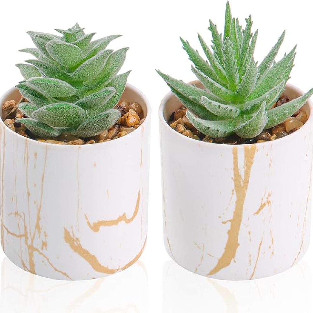 Set of 2 Succulents Plants Artificial Mini Fake Succulents Plants