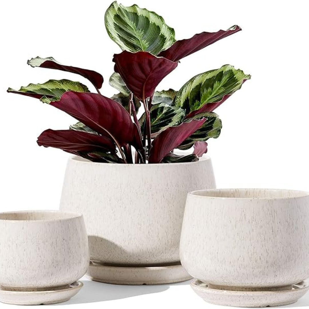 Set of 3, Ceramic Planters with Drainage Hole